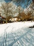 Worsley Green in winter