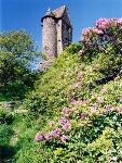 The Pidgeon Tower at Rivington